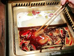 -九鼎轩脆毛肚火锅(三钢里店)