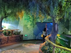 -沈阳海洋探索中心