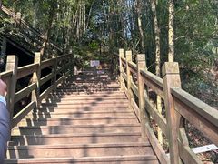-凤栖山