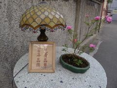 -鼓浪屿牌馅饼(博物馆店)