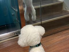 -默迹咖啡馆