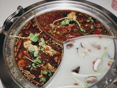 -新辣道鱼火锅(上地华联店)