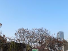 -秋水广场