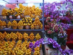 -越秀西湖花市(广州城市广场花卉店)