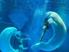 -上海海昌海洋公园-冰山北极馆