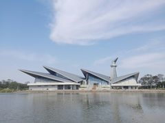 -盐城丹顶鹤湿地生态旅游区