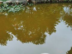 -毛泽东同志旧居