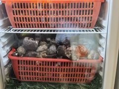 -太婆天府山珍酒楼(亚运村店)