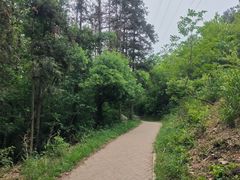 -青龙山国家森林公园