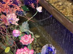 -真定郝家排骨(正定县总店)