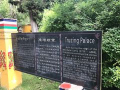 -罗布林卡