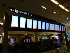 -达拉斯 沃斯堡国际机场