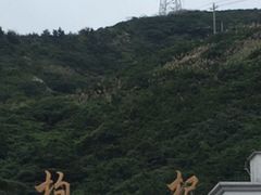 -枸杞岛