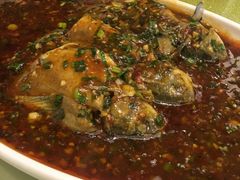 -月圆霖特色农家乐