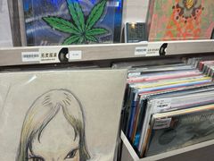 -浣熊唱片店(上海影城店)