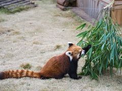 -黔灵山公园
