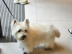 -京津佛罗伦萨小镇