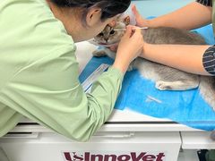 -达爱动物医院·犬猫分区·CT·复杂眼科(远洋山水分院)