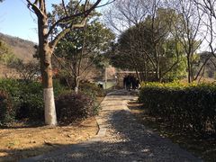 -虞山风景区