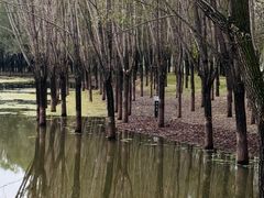 -东郊湿地公园