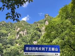 -王顺山国家森林公园