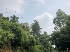 -火炉山森林公园