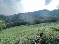 -敬亭山风景名胜区