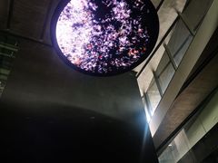-知美术馆