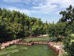 -宝岩生态观光园