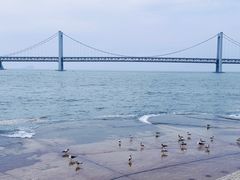 -星海广场