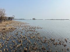-苏州太湖湖滨国家湿地公园