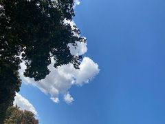 -五角枫生态旅游景区