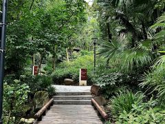 -青城道汤池
