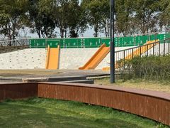 -春花秋色城市公园