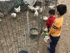 -人民公社大食堂(顺义总店)