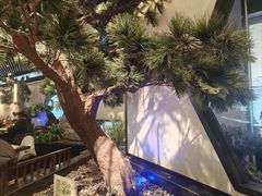 -绿茶餐厅(成都大悦城店)