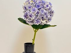 -双季花艺园艺市场(浦东店)
