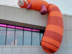 -野狸岛