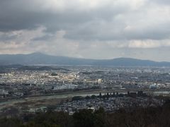 -岚山猴子公园