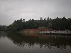 -南国桃园旅游度假区