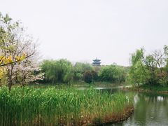 -梁鸿国家湿地公园
