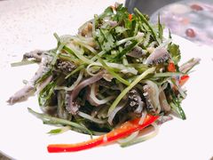 芥辣羊肚丝-九府羊鲜羊火锅·烧烤(海那城店)