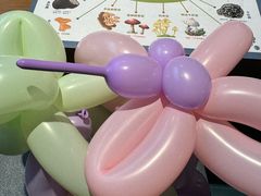 -菌彩云南野生菌火锅(呈贡七彩云南第壹城店)