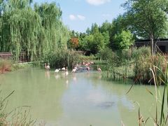 -上方山森林动物世界