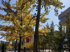 -大连外国语大学(旅顺校区)