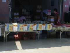 -百万葵园