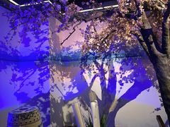 -绿茶餐厅(朝阳大悦城店)