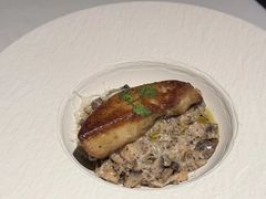 -Oyster Talks 四度蚝法餐厅