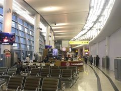 -谢列梅捷沃国际机场