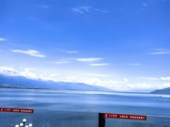 -野菌皇海景野生菌火锅(滨海大道店)